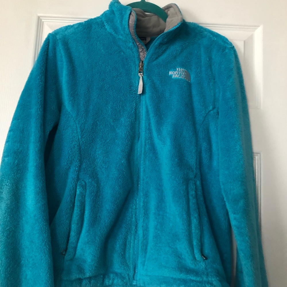 BLUE north face